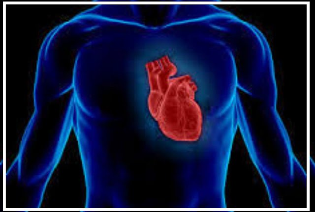 हृदयरोग चे लक्षण आणि उपाय काय आहे जाणून घ्या : Symptoms and Remedies of Heart Disease?