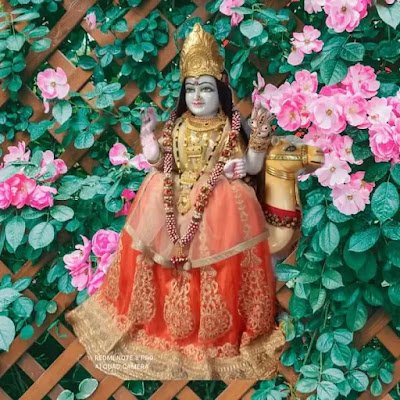 दशा माता की 10 कहानी PDF दशा माता की पहली कहानी Dasha Mata ki 10 kahaniyan Dasha mata ki kahani lyrics दशा माता की दूसरी कहानी माता की कहानी दशा माता फोटो Dasha Mata 2024 Dasha Mata Ki Kahaani in Hindi। दशा माता की कहानी हिंदी में