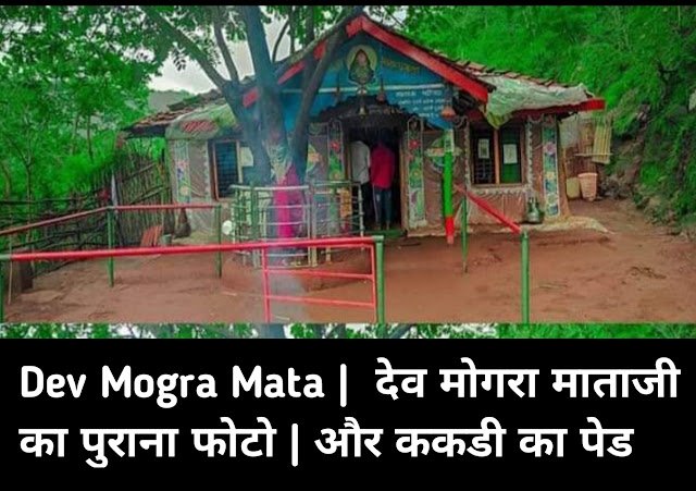 Dev Mogra Mata Old Temple Photo Aur Kakadi ka Ped History of Devmogra Mata in Hindi